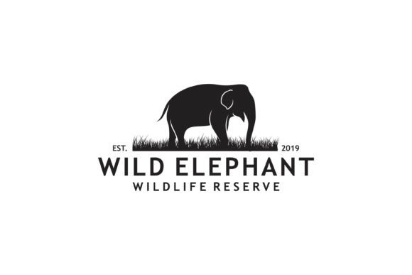 Wild Elephant Vintage Retro Logo: A Designer's Review
